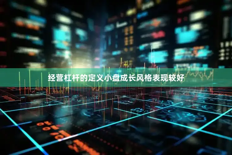 经营杠杆的定义小盘成长风格表现较好
