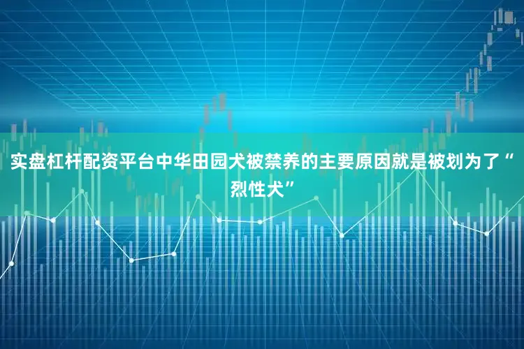 实盘杠杆配资平台中华田园犬被禁养的主要原因就是被划为了“烈性犬”